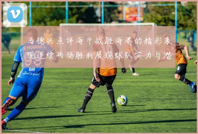 马德兴点评海牛战胜海港的精彩表现连续两场胜利展现球队实力与潜力