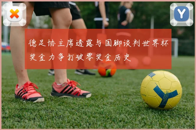 德足协主席透露与国脚谈判世界杯奖金力争打破零奖金历史